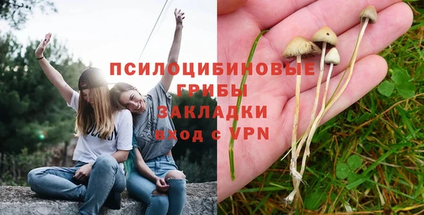 бошки Алзамай